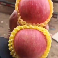 山東紅富士蘋果批發(fā) 條紋 全紅果 產(chǎn)地批發(fā)全國代發(fā)