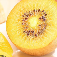 黃心獼猴桃 黃金奇異果金果獼猴桃 新鮮水果 生鮮 水果 12個 單果70-100克