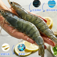 CP正大食品 泰國進口白蝦1.4kg/盒 加大號21-25 海鮮燒烤 烤串聚餐