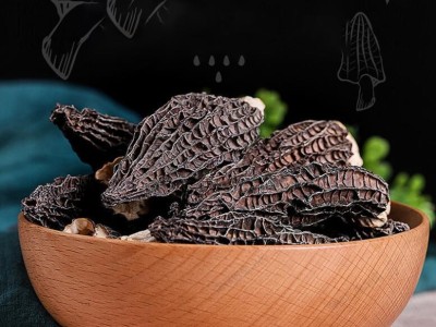 羊肚菌干貨菌菇特產散裝羊肚菌大量批發農產品食用菌煲湯食材