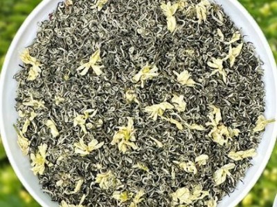 茉莉飄雪冷泡茉莉花茶葉散裝茶葉自己喝2024新茶花毛