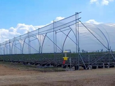 藍莓避雨棚 水果種植遮陽溫室大棚源頭供應 提供定 制安裝服務